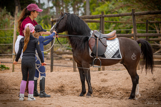 Tapis de selle - Poney